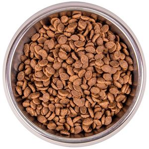 Сухой корм Monge Cat BWild LOW GRAIN низкозерновой для взрослых кошек из анчоуса