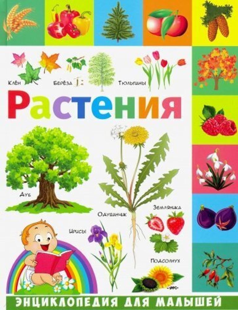 Энциклопедия для малышей. Растения     Владис  9785956726686