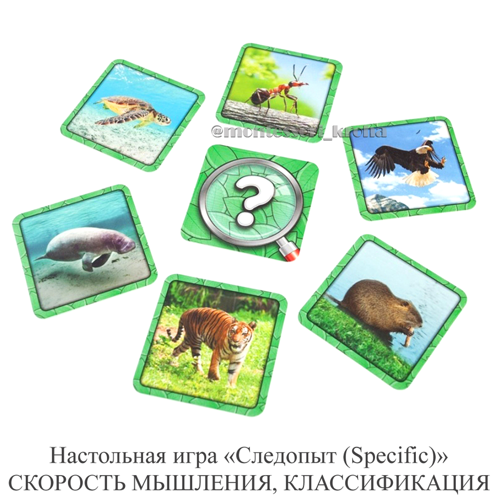 Настольная игра «Следопыт (Specific)» СКОРОСТЬ МЫШЛЕНИЯ, КЛАССИФИКАЦИЯ