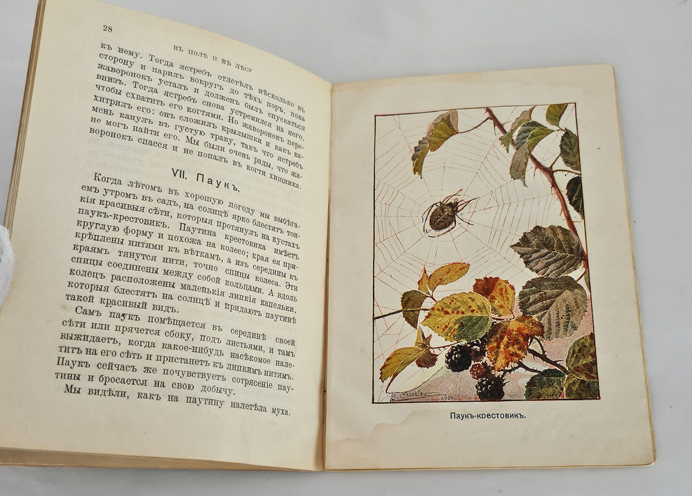 "В поле и в лесу". В. Н. Львов. 1910г.