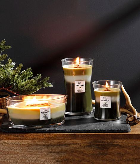 Летние фрукты, ароматическая свеча эллипс, WoodWick