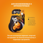GekoFan Ароматизатор - антистресс автомобильный, Orange(Оранжевый)