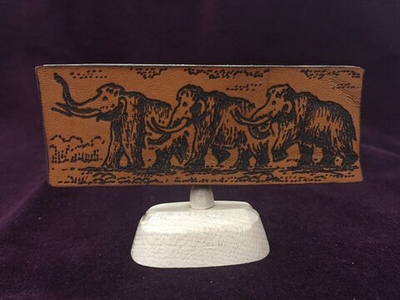 Экран. Кожа, кость. Изображение мамонтов