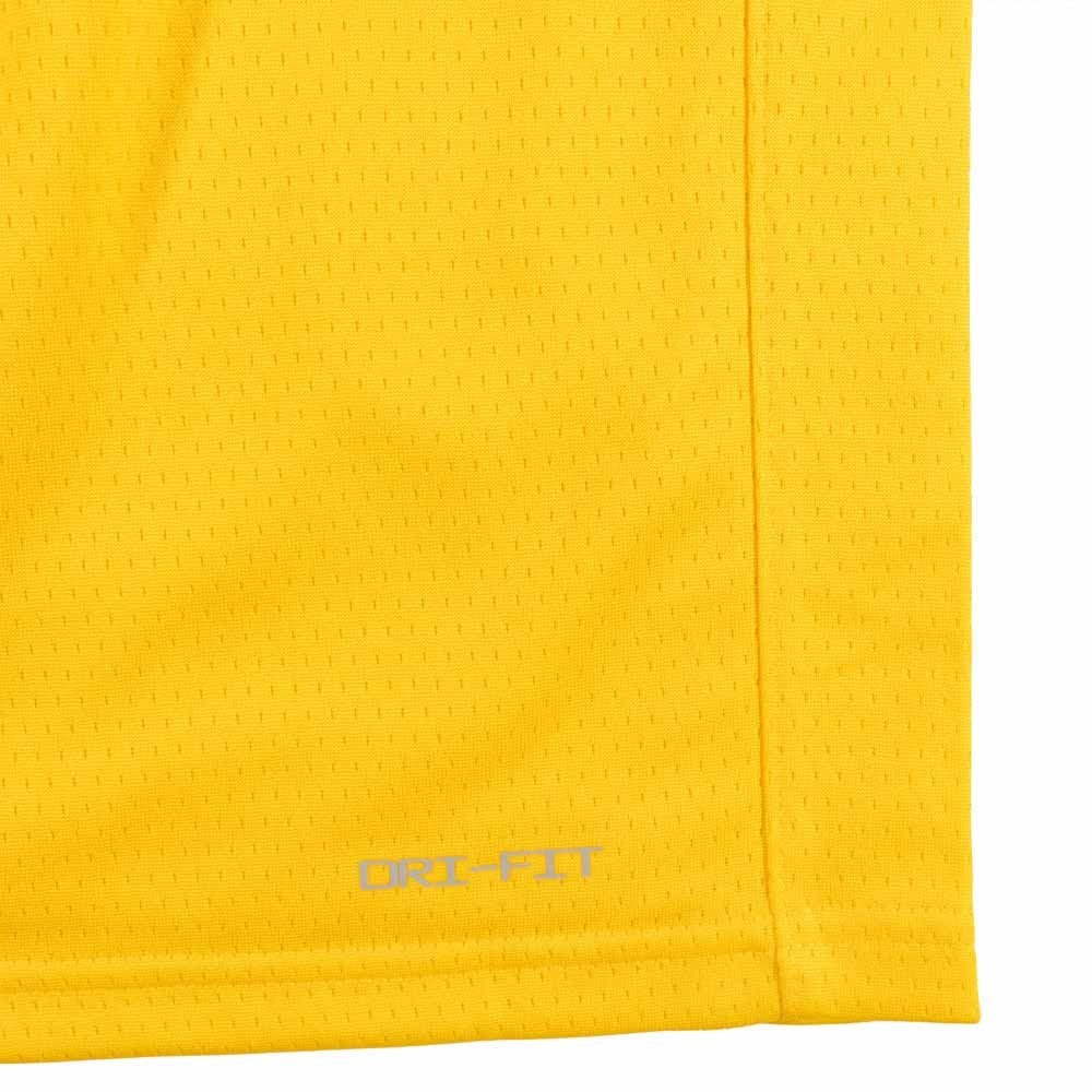 Баскетбольная детская джерси Nike Boys Icon Swingman Jersey Los Angeles Lakers Lebron James