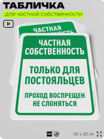 Табличка для частной территории "Частная собственность, только для постояльцев", на дом, для участка, организаций, предупреждающая, 40х30 см, Silver Plane x Айдентика Технолоджи