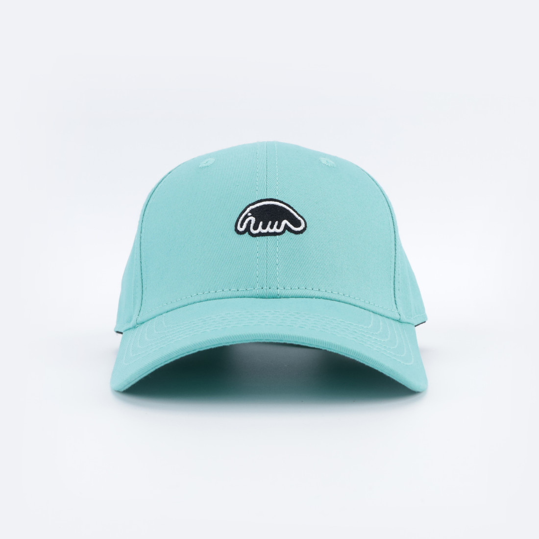 Кепка Anteater Baseball (mint)