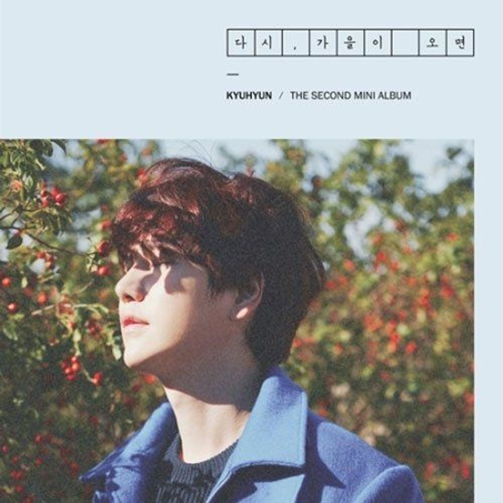 Альбом Super Junior KYUHYUN - Fall, Once Again 2nd Mini Album