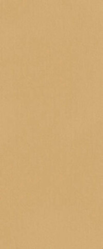 Настенная плитка True Color Caramel RT (fTDS)