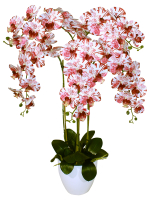 Искусственные Орхидеи 5 веток бабочка 75см в кашпо