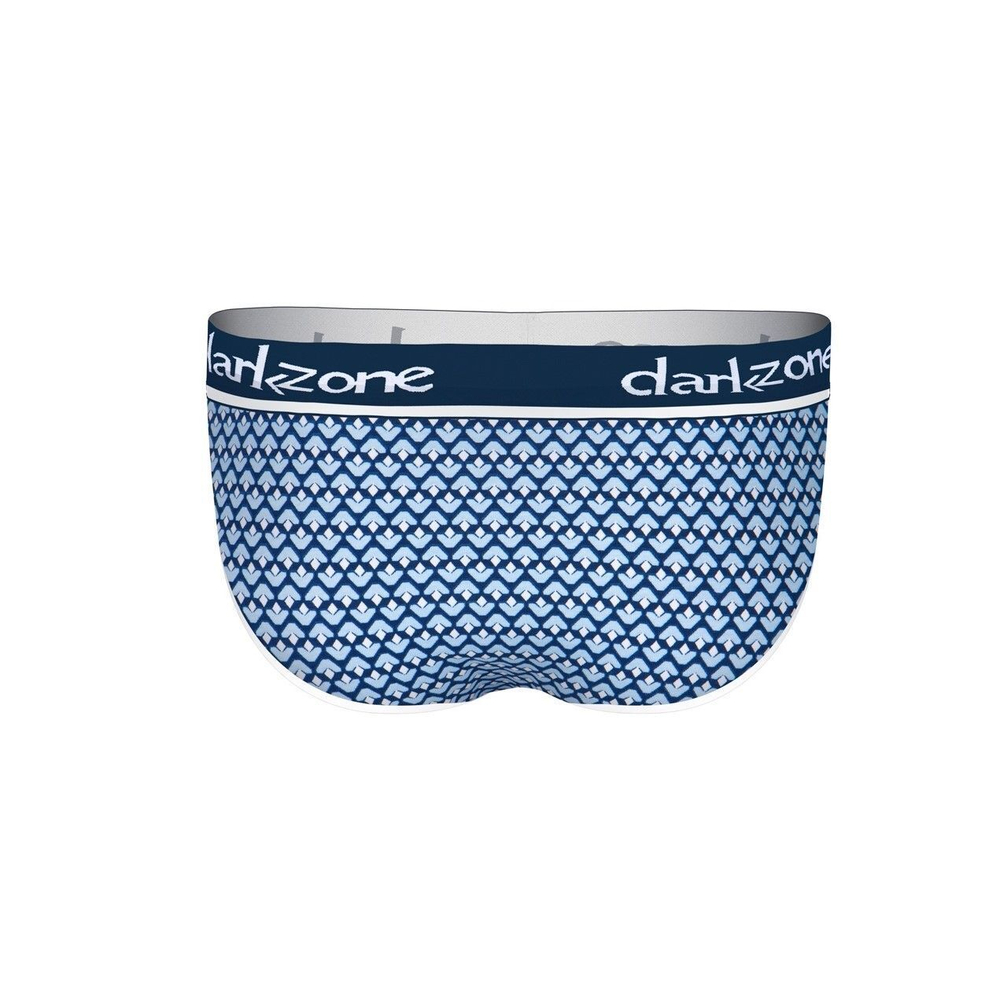 Синие мужские трусы-брифы с вырезом и принтом (Размер: XL) (Цвет: синий)