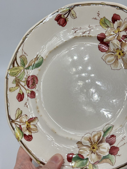 Тарелка 23,7см Villeroy & Boch Portobello (4)