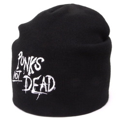 Шапка Punk’s Not Dead (027)