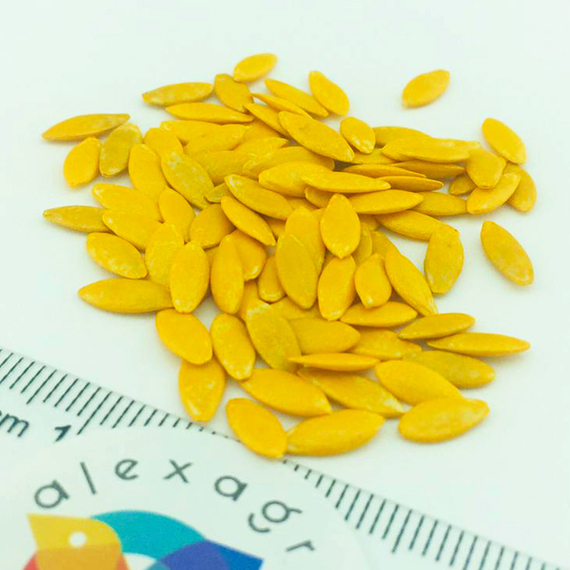 Седрик F1 семена огурца партенокарпического (Enza Zaden / ALEXAGRO) семена – фото 8