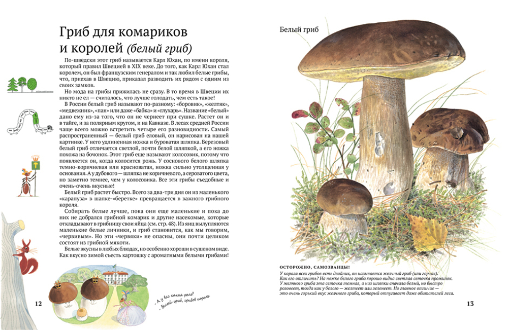 Стефан Каста, Бу Мосберг «Софи в мире грибов»