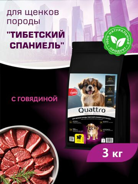 Корм сухой для щенков породы Тибетский спаниель, с говядиной, 3 кг, QUATTRO