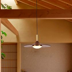 Подвесной светильник THEA D25