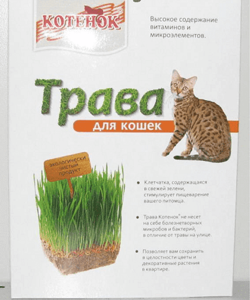 ТРАВКА &quot;КОТЕНОК&quot; Д/КОШЕК В КОРОБКЕ 80г