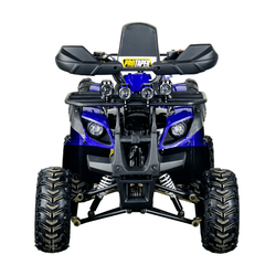 Квадроцикл STALKER 125