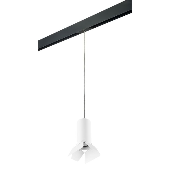 Комплект с трековым светильником Lightstar Rullo (214486+595857+202436) PRORP486436