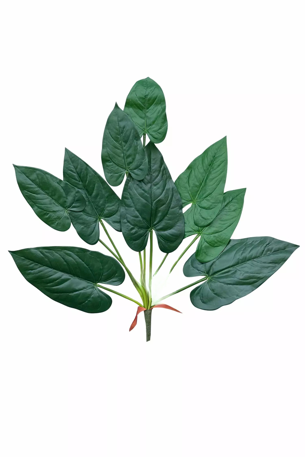 Куст Антуриума 9 листьев 76см