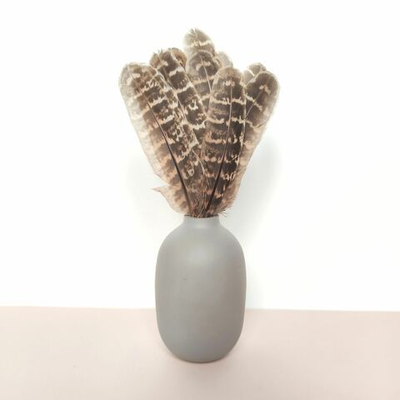 Перья фазана домашнего натуральные 15шт.