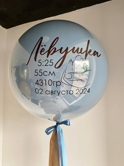 Воздушные шары на выписку из роддома №1107