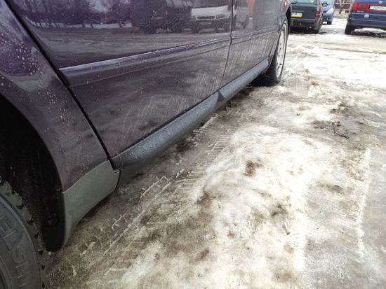 Листва (молдинги) на двери для Audi A4 B6