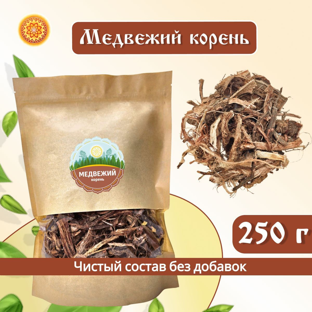 Медвежий корень Алтайский (Копеечник чайный/Красный корень).