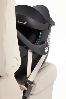 Коляска Carrello Vector 2025 CRL-6551 Ammonite AY329 Pro Absolute Black с базой Isofix 3 в 1 Shadow Black