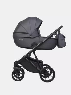 Коляска MONTANA ECCO (2 в 1) (RIKO BASIC)