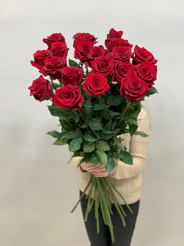 Букет 19 метровых роз красные в ленте