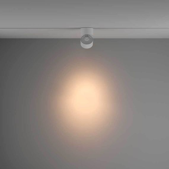 Трековый светильник Maytoni Technical Yin TR084-1-15W3K-D-W
