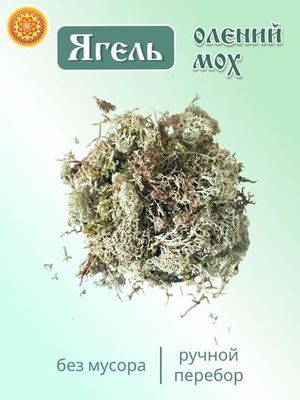 Ягель мох (кладония). 2 сорт
