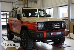 Накладки на расширители арок BRM для TANK 300 2021-2024г. (Чарский Оранж Orange (2Y))