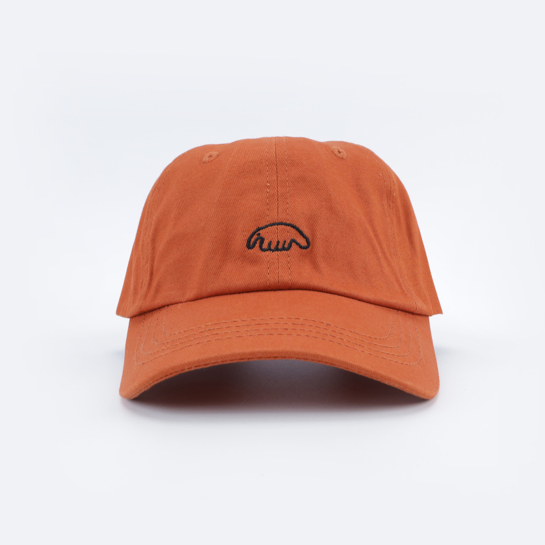 Кепка Anteater 6Panel (terrakot)