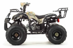 Квадроцикл Motoland 125 FOX