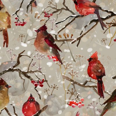 Птицы зимние