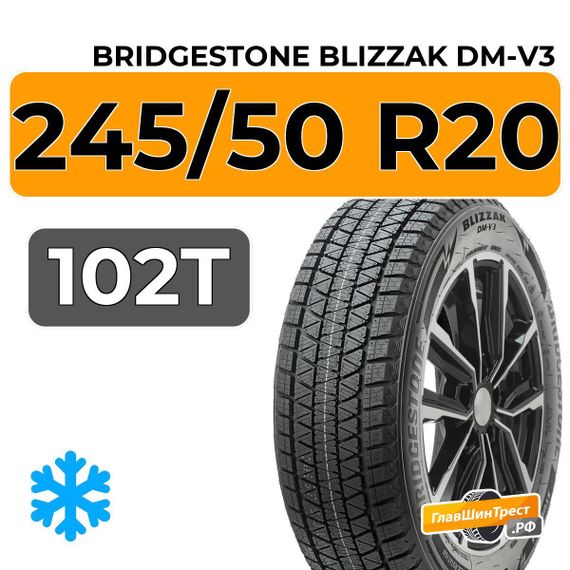 Bridgestone Blizzak DM-V3 245/50 R20 102T