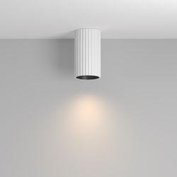 Светильник потолочный Maytoni Calipso C106CL-01-GU10-W