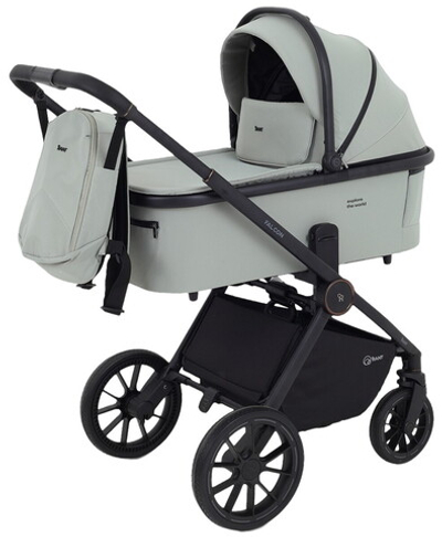 Детская коляска Rant Falcon Neo 3 в 1 Sage