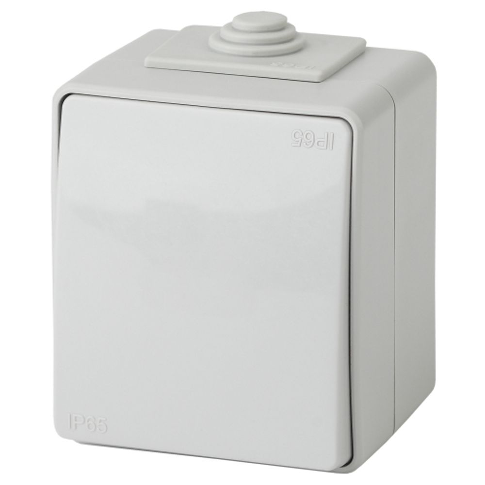 Выключатель ЭРА Эксперт 11-1601-03 IP65 10АХ-250В ОУ серый | Эра Эксперт