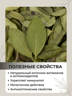Лист Брусники сушеный