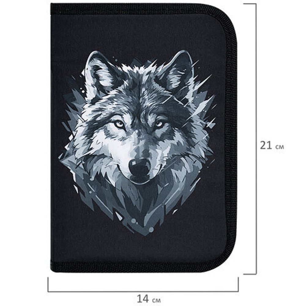Пенал BRAUBERG, 1 отделение, полиэстер, 21х14 см, "Gray wolf", 273520