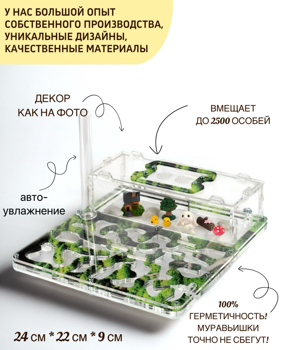 Большой Формикарий «Макси Мох" с муравьями в подарок