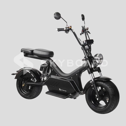 Электроскутер CityCoco Skyboard BR50-3000 (Baikal) Черный