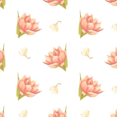 Водяная лилия