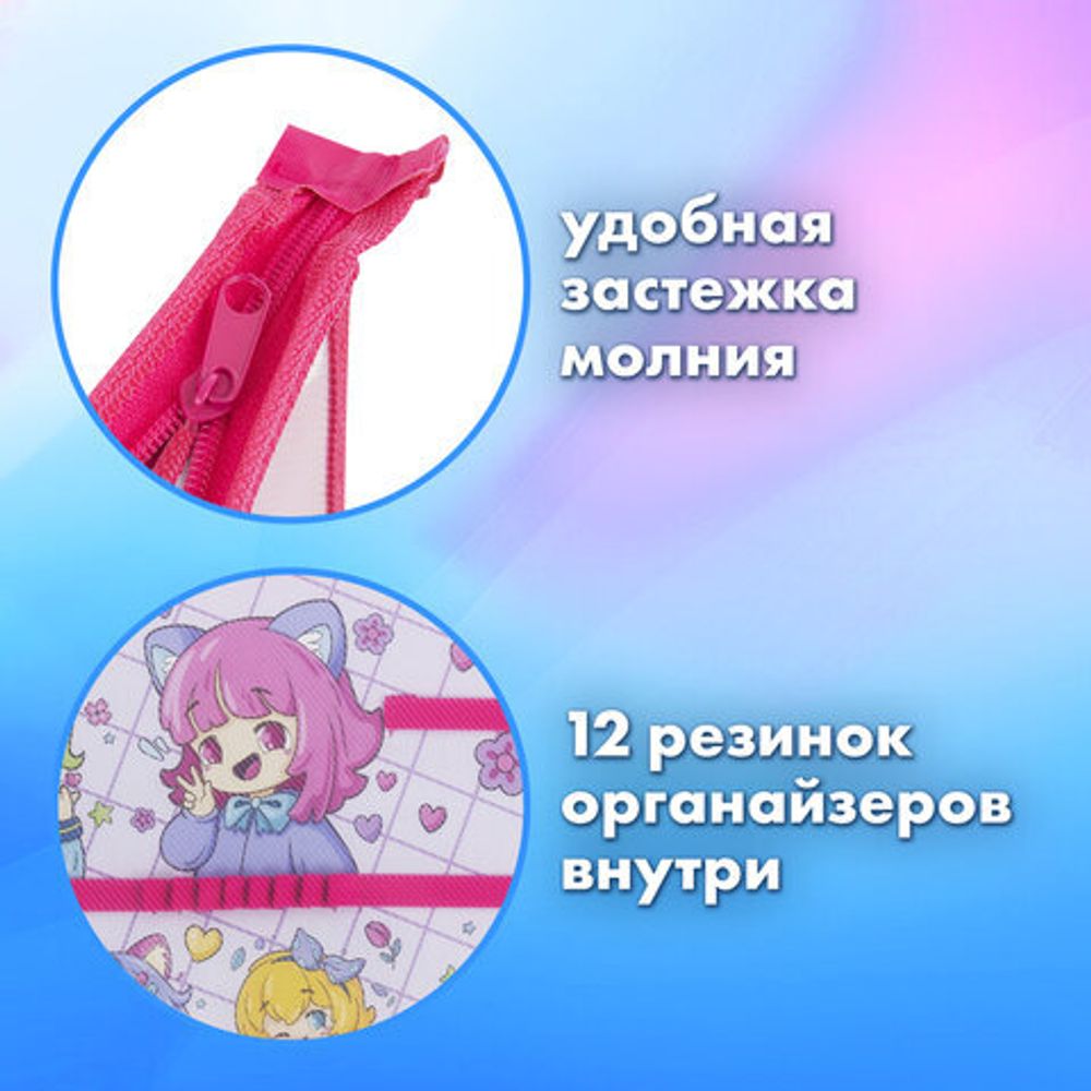 Папка для труда BRAUBERG А4, 2 отделения, пластик, молния сверху, органайзер, "Anime party", 272214