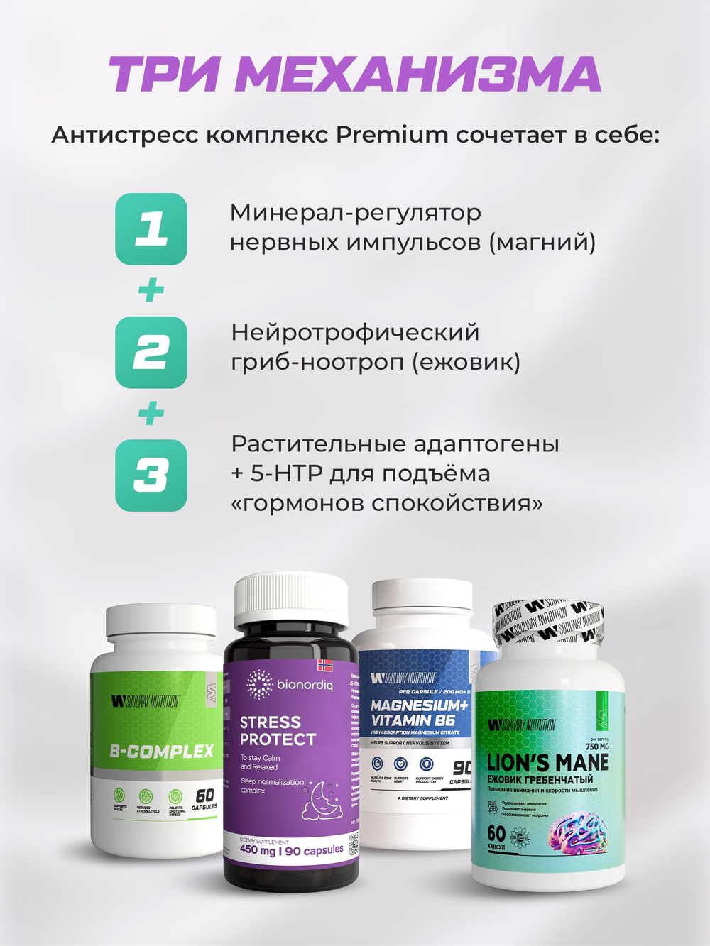 Антистресс Комплекс SoulWay Магний B6 + BQ STRESS PROTECT + SoulWay В-комплекс + SoulWay Ежовик