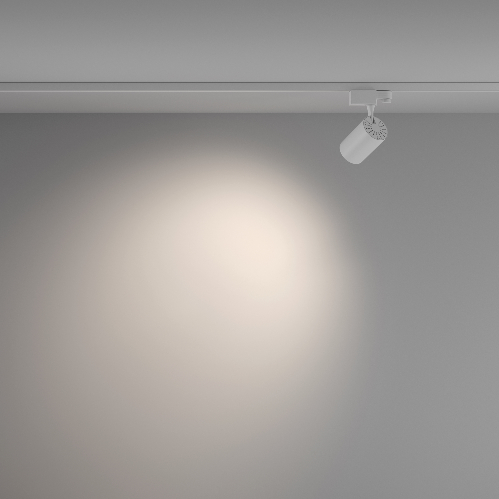 Трехфазный трековый светодиодный светильник Maytoni Vuoro TR029-3-10W4K-W-W