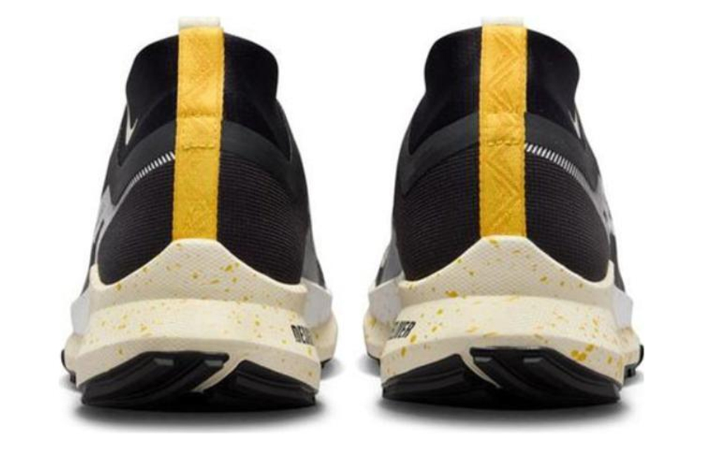 Кроссовки Nike Pegasus Trail 4 Gtx